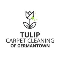Tulip Carpet Cleaning of Germantown image 2